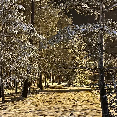 فندق Logis Des Sittelles 3*