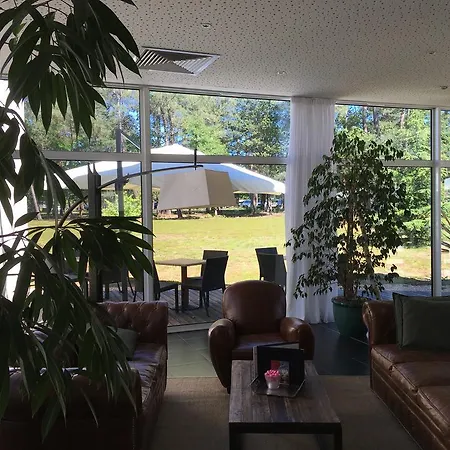 Logis Des Sittelles 3* Montfort-le-Gesnois