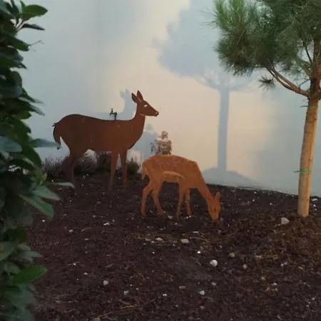 Logis Des Sittelles 3*