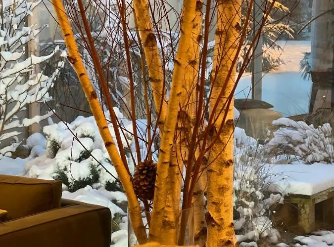 فندق Logis Des Sittelles