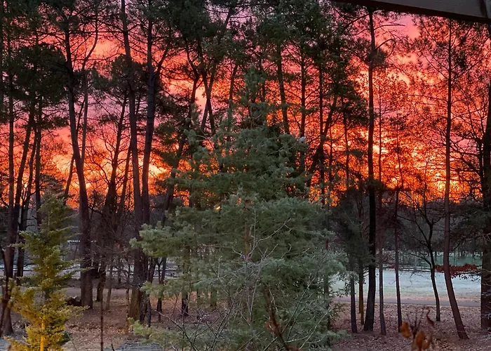 Logis Des Sittelles فندق Montfort-le-Gesnois