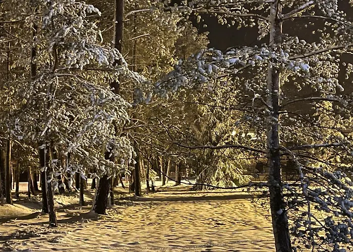 فندق Logis Des Sittelles 3*